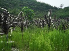 -大平台龙居瀑布旅游区