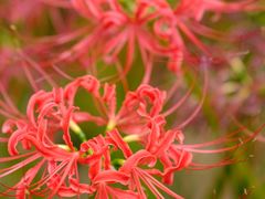 -贡湖湾湿地公园