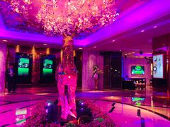 -纯K(打浦桥店)
