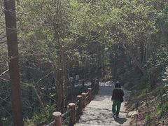 -敬亭山风景名胜区