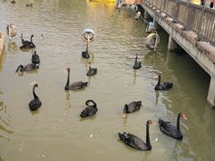 -无锡动物园·太湖欢乐园