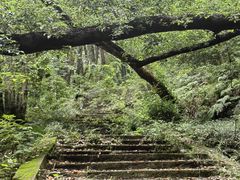 -喻家山