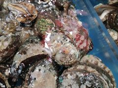 -徐记海鲜(梅溪新天地店)