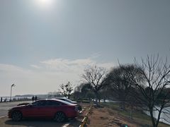 -贡湖湾湿地公园