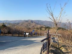 -北京西山国家森林公园