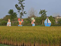 -杭州湾海上花田景区