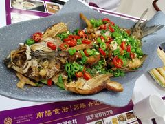-南阳食府·河南豫菜(南阳驻京办店)