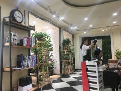 -梳蕾娜 HAIR SALON