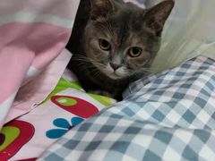 -佳雯宠物医院(四明中路分院)