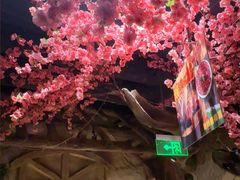 -城墙拐拐火锅(三峡广场黑金冠店)