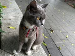 -荔湾湖公园