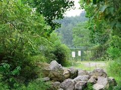 -咸丰县唐崖河景区