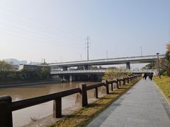 -运河游船(武林门码头)