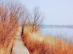 -野鸭湖国家湿地公园