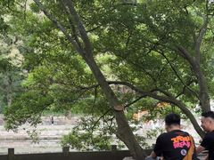 -普陀山风景名胜区-法雨禅寺