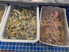 -骏莱海鲜鱼港(五角场店)