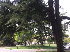 iphone_upload_pic-上海兴国宾馆丽笙精选