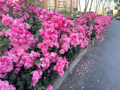 -宝龙城(杭州滨江店)