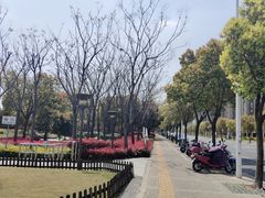 -南翔镇银翔湖公园