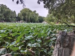 -莲池书院博物馆