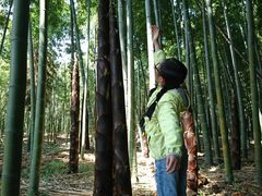 -同里国家湿地公园