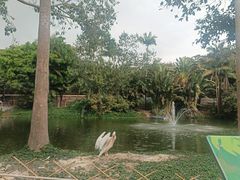 -深圳野生动物园