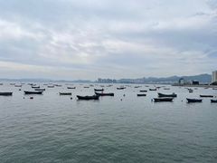 -海源公园