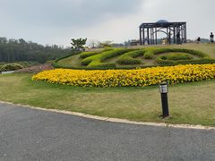 -东莞植物园