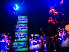 -五月花酒吧(民德路店)