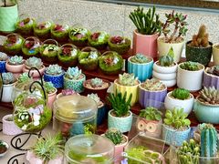 -首创奥特莱斯(西安店)