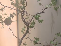 -俏江南·晋文化主题餐厅(中正天街店)