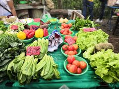 -Bamboo Saturday Market(Nana Jungle)