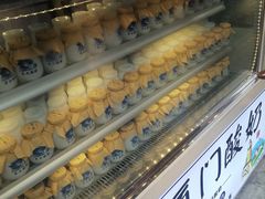 -厦门邮轮中心厦鼓码头(轮渡站)