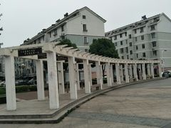 小区环境-马浜花园