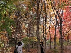 -长春世界雕塑园冰雪艺术天地