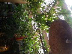 picture-旅马餐厅(茅家埠店)