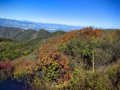 -香山公园