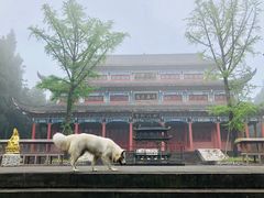 -武陵山森林公园