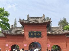 -神州牡丹园