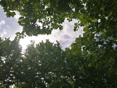 -羊山湖公园