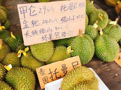 -海吉星市场