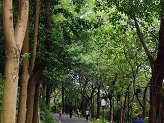 -广州雕塑公园