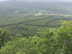 -帽儿山国家森林公园