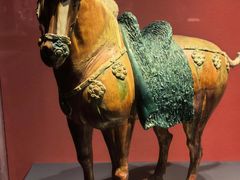 -陕西历史博物馆