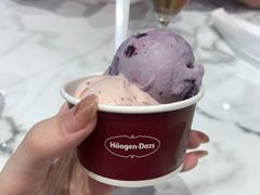 -哈根达斯(SM店)