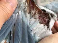 -雨林宠物医院 非犬猫异宠专科
