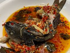 -印象鲵宴·张家界地标美食名片(溪布街店)