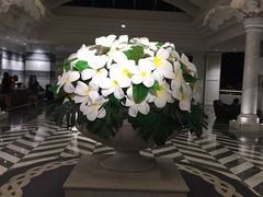 -塞班肯辛顿酒店Kensington Hotel Saipan