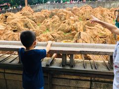 -昆明动物园