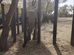 -新疆天山野生动物园